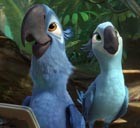 RIO 2