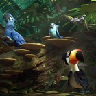 RIO 2