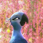 RIO 2