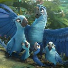 RIO 2