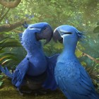 RIO 2