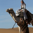 4 Queen of the Desert